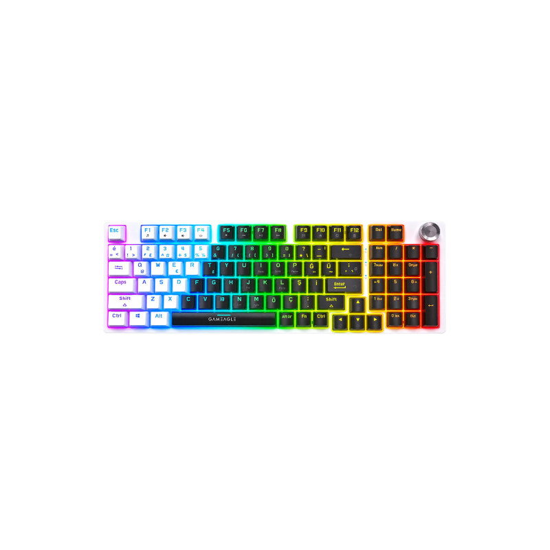 Gameagle Diablo RGB Kablolu 20 Mod TR Layout DoubleShot FullAnti-Ghosting Mekanik OyuncuKlavyesi Siyah/Beyaz