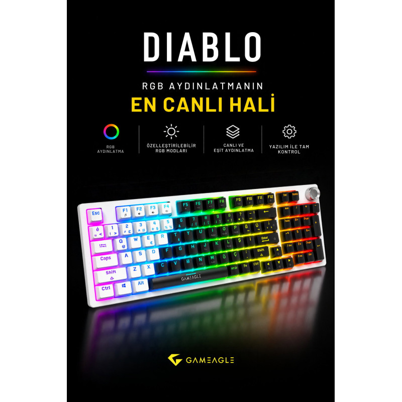 Gameagle Diablo RGB Kablolu 20 Mod TR Layout DoubleShot FullAnti-Ghosting Mekanik OyuncuKlavyesi Siyah/Beyaz
