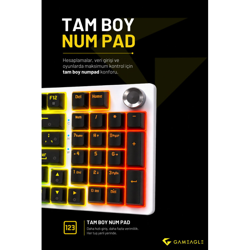 Gameagle Diablo RGB Kablolu 20 Mod TR Layout DoubleShot FullAnti-Ghosting Mekanik OyuncuKlavyesi Siyah/Beyaz