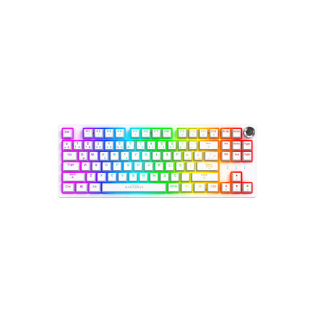 Gameagle Dryo RGB Kablolu TR Layout Mekanik Oyuncu Klavyesi Beyaz