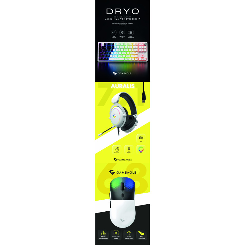 Gameagle Neon X + Auralis Beyaz + Dryo Beyaz/Siyah 3'lü Bundle Oyuncu Seti